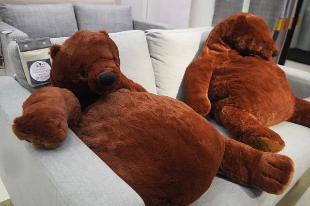 IKEA「厭世熊」爆紅!胖肚肚「不想努力了」、頹廢「沒骨頭攤坐」超療癒❤% 照片 IKEA「厭世熊」爆紅!胖肚肚「不想努力了」、頹廢「沒骨頭攤坐」超療癒❤