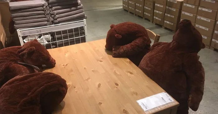 IKEA「厭世熊」爆紅!胖肚肚「不想努力了」、頹廢「沒骨頭攤坐」超療癒❤% 照片 IKEA「厭世熊」爆紅!胖肚肚「不想努力了」、頹廢「沒骨頭攤坐」超療癒❤