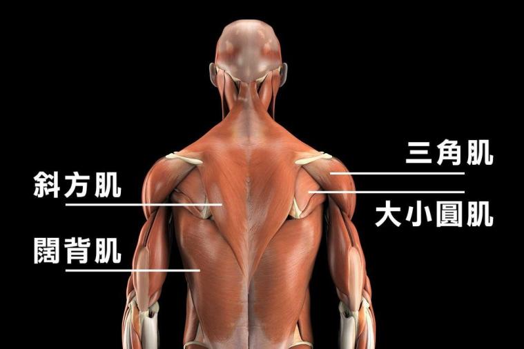 1639021135109942_760_263.png image.png