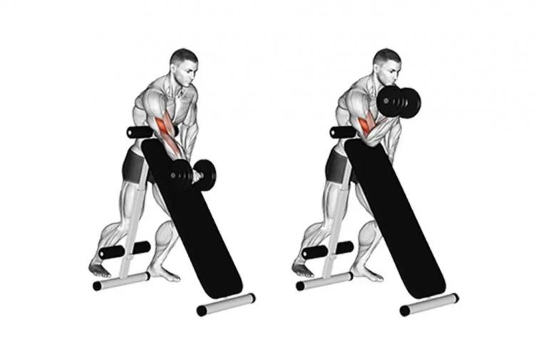 1641875996862246_760_263.png image.png