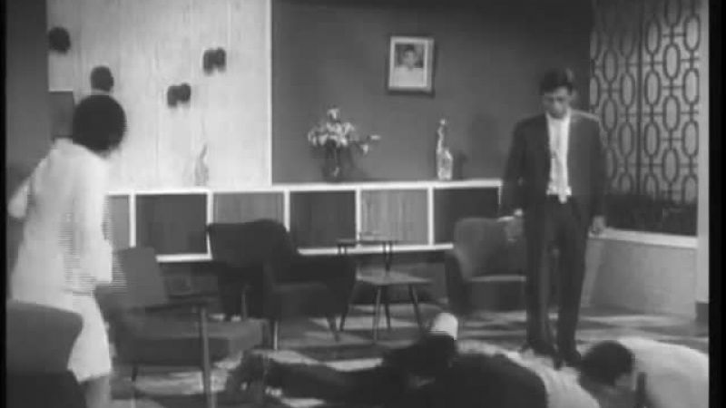 黑野貓 - 陳寶珠, 胡楓