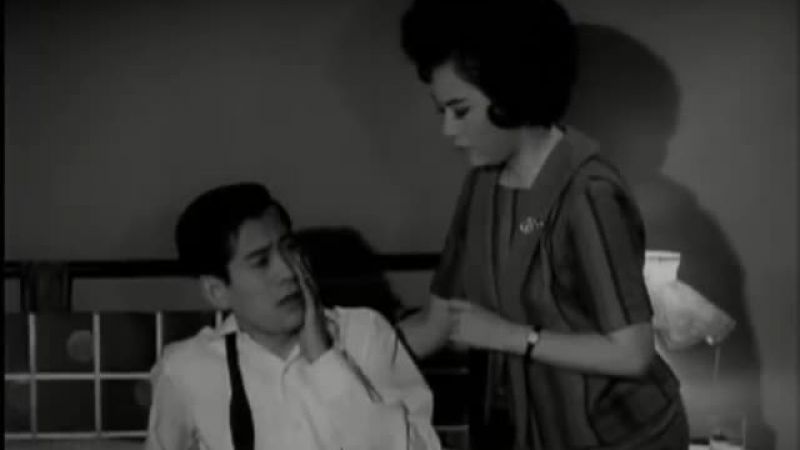 人海雙雛 - 林家聲, 南紅, 黃曼梨 , 梁家寶 , 徐小明