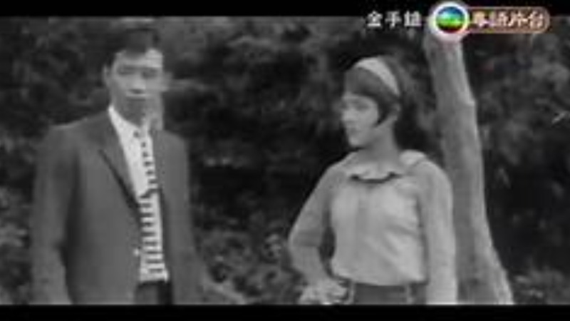 金手鎗-胡楓 蘇青 范麗 喬宏 司馬華龍