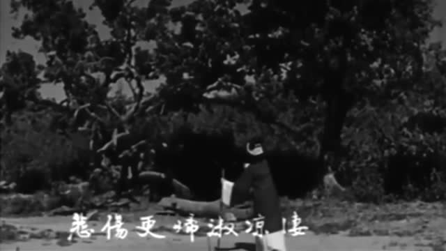 寶蝶奇緣〈又名：寶蝶記〉-羅艷卿 林鳳 莊雪娟 石玲 關海山 檸檬 袁小田