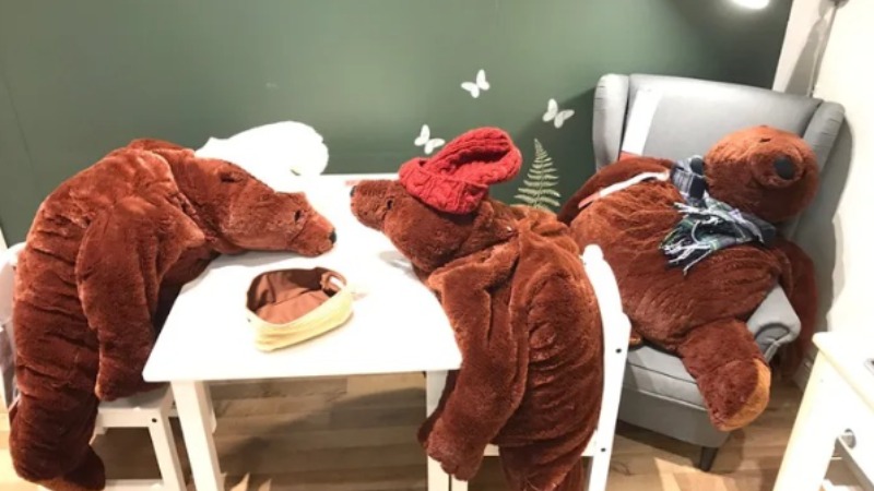 IKEA「厭世熊」爆紅！胖肚肚「不想努力了」、頹廢「沒骨頭攤坐」超療癒❤