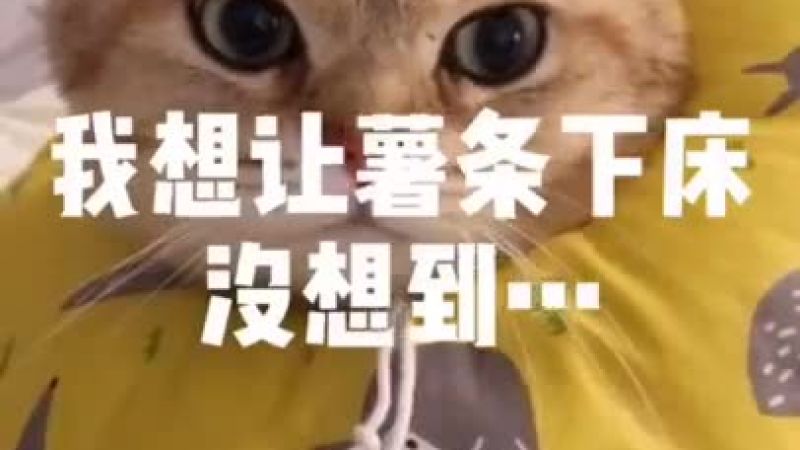 【搞笑】抖音搞笑top大合集，搞笑千千萬，總有一款適合你，拯救不開心！