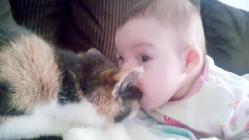 【歡笑一籮籮】超級搞笑的動物