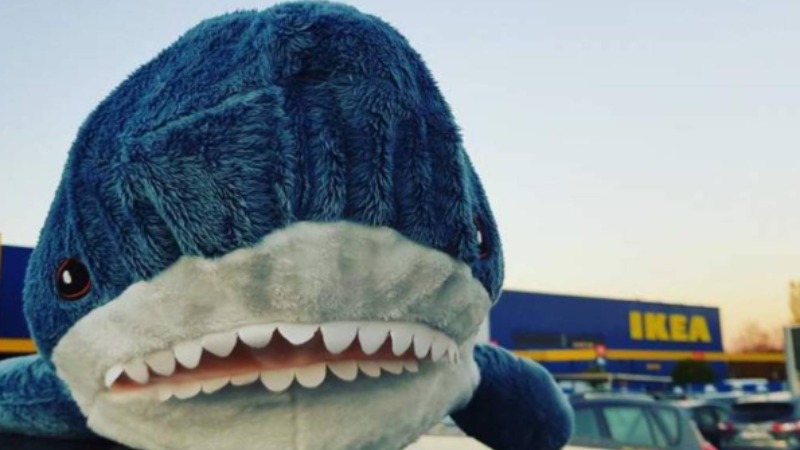 【冷知識】IKEA 商品怪名多超難讀？背後原來有洋蔥