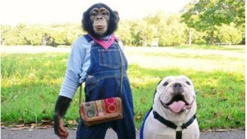 【歡笑一籮籮】阿笨與阿占-2