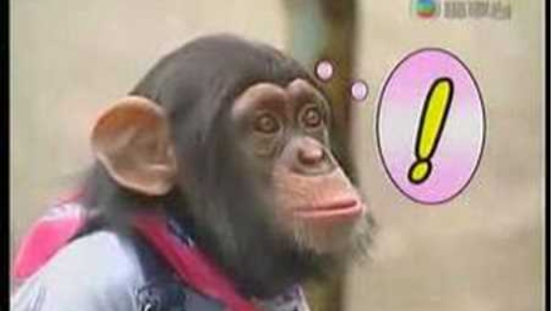 【歡笑一籮籮】阿笨與阿占-4