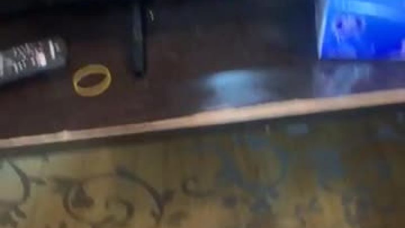 67120124597__2D13BA8C-4202-4C28-9B97-48E8BE4130A8MOV