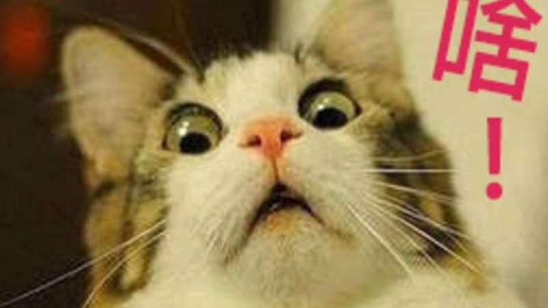 剪一點點就好~~師傅