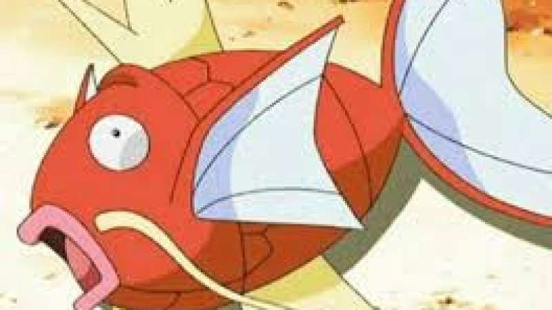 野生的鯉魚王~抓它成為訓練家